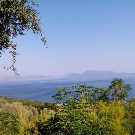 Ellenas- Studios Nikiana Dış mekan fotoğraf